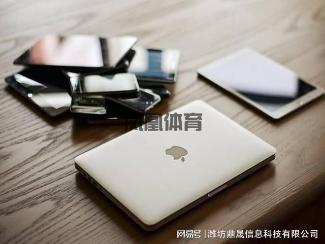 潍坊建网站的几个步骤(图1)