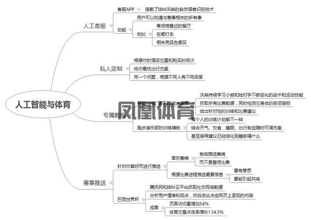 全面分析2025年体育市场