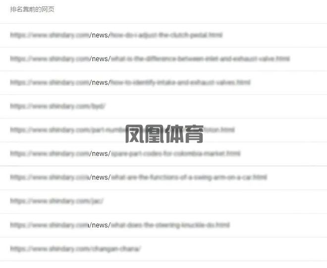 凤凰体育-6个月收获询盘566封瑞诺国际SEO优化利剑出鞘守护出海梦(图3)